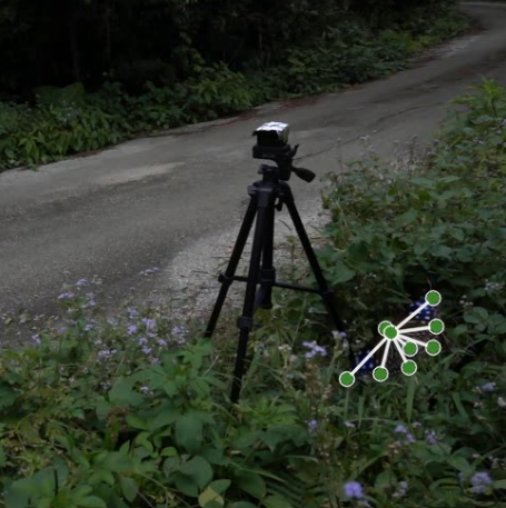 Outdoor camera setup tracking insect flight with pose-estimation landmarks.